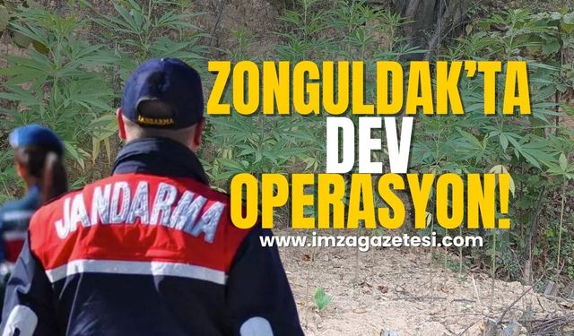 Zonguldak'ta dev operasyon! Göz açtırmıyorlar