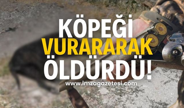 Av tüfeğiyle köpeği öldürdü!