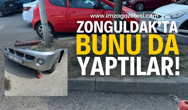 Zonguldak’ta Dubalara Yapılan Saldırılar Tepkilere Neden Oldu