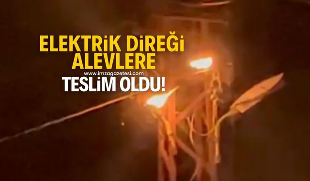 Zonguldak'ta elektrik direği alevlere teslim oldu! Ekipler müdahale ediyor