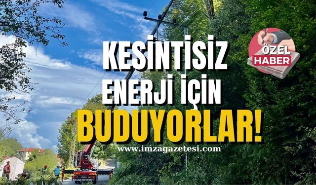 Kesintisiz enerji için buduyorlar!