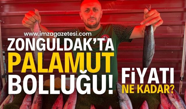 Zonguldak'ta Palamut Bolluğu Tezgahlara Yansıdı