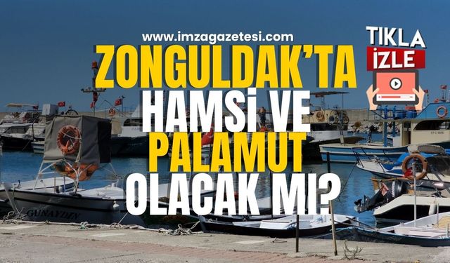 Zonguldak'ta Palamut ve Hamsi Olacak Mı?