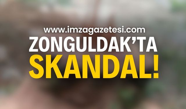 Zonguldak'ta skandal hareket: Nasıl kıydınız?