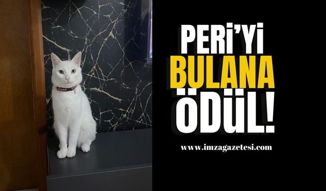 5 Yaşındaki 'Peri'yi Bulana Para Ödülü!