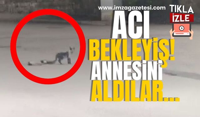 Bu bekleyiş çok acı oldu... Trafik canavarı annesini elinden aldı!