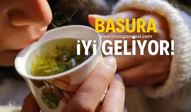 Bu bitki çayı basura çok iyi geliyor!