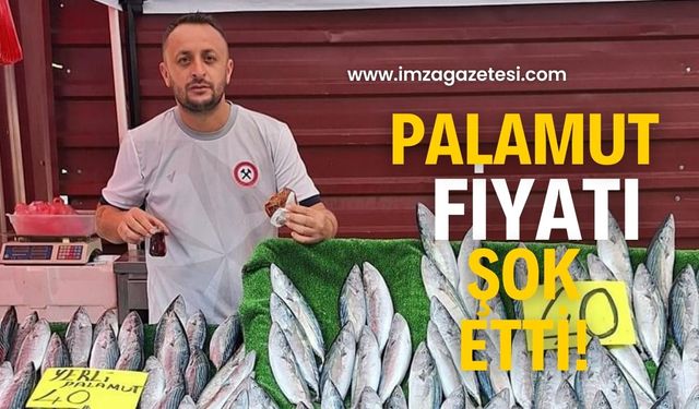 Bedavaya palamut! Gören koşuyor