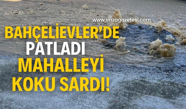 Bahçelievler’de şok görüntü! Mahalleyi koku sardı