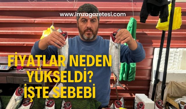 Palamut fiyatları neden yükseldi? İşte sebebi