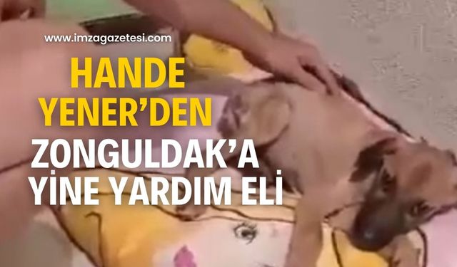 Hande Yener yardım elini uzattı!