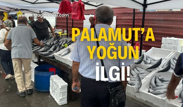 Palamut tezgahlarına yoğun ilgi! Herkes oraya koşuyor