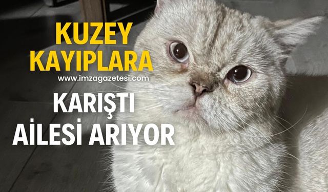 Kuzey kayıplara karıştı!