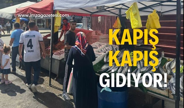 Palamut’a yoğun ilgi! Yetişen alıyor