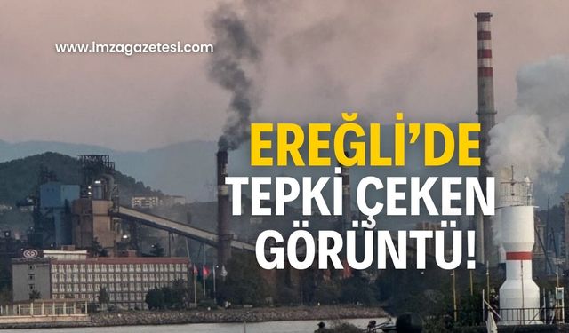 Ereğli’de tepki çeken görüntü! Çevre Bakanlığına seslendiler