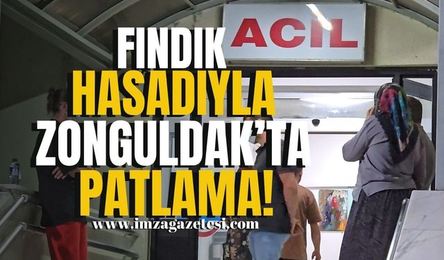 Fındık Hasadıyla Zonguldak'ta Patlama!