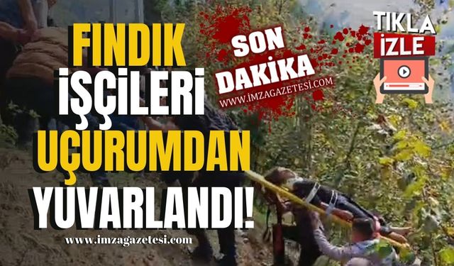 Fındık İşçilerini Taşıyan Minibüs Uçuruma Yuvarlandı!