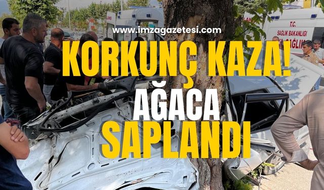 Korkunç Kaza! Otomobil Ağaçta Saplandı!