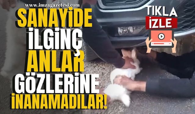 Motordan çıkana inanamadılar! Sanayide ilginç anlar