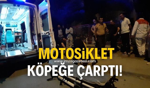 Motosiklet, köpeğe çarptı!