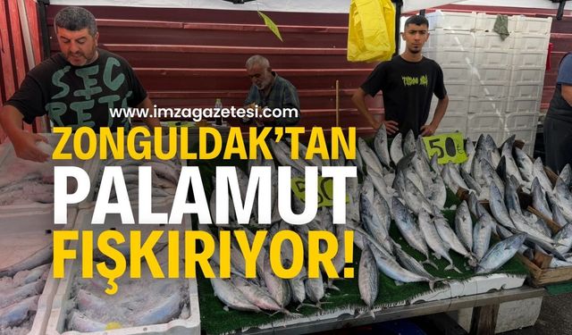 Palamut Yok Satıyor! Zonguldak’ta Palamut 50 Liradan Alıcı Buluyor