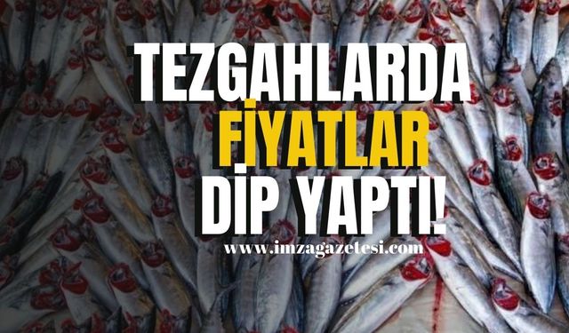 Denizlerde Palamut Bereketi...Tezgâhlarda Fiyatlar Dip Yaptı!