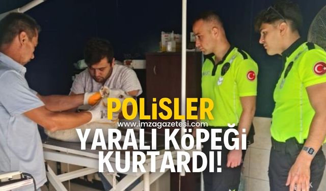 Polis ekipleri, yaralı köpeği kurtardı!