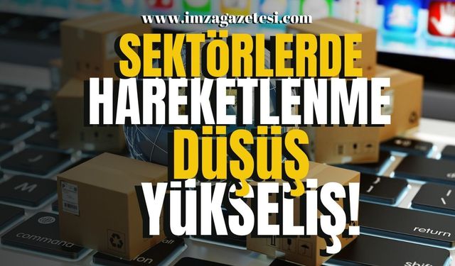 Satışlarda Düşüş, Sektörde Yükseliş