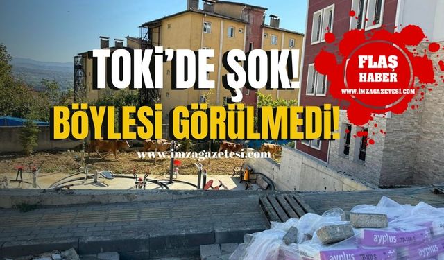 Toki'de şok! Böylesi görülmedi...