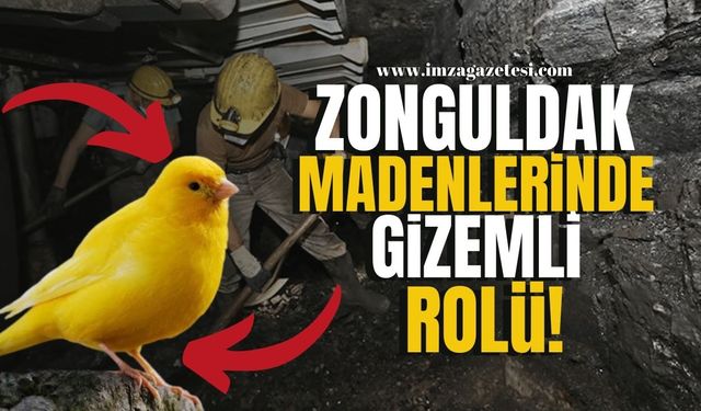 Zonguldak Madenlerinde Kanaryaların Gizemli Rolü!