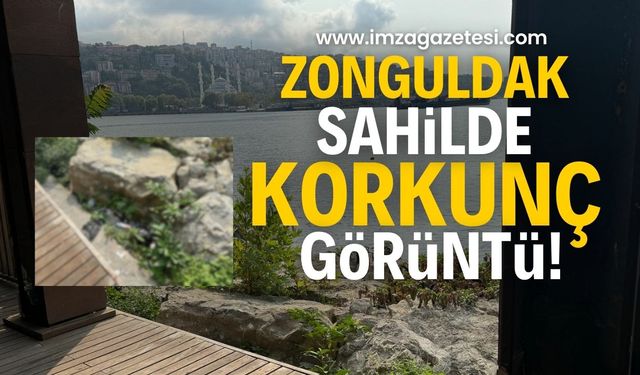 Zonguldak Sahil Bandında Korkunç Manzara: Vatandaşlar Endişeli