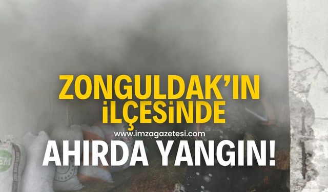 Zonguldak'ın Alaplı ilçesinde ahırda yangın çıktı!