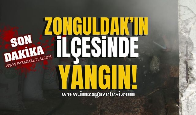 Zonguldak'ın ilçesinde korkutan yangın!