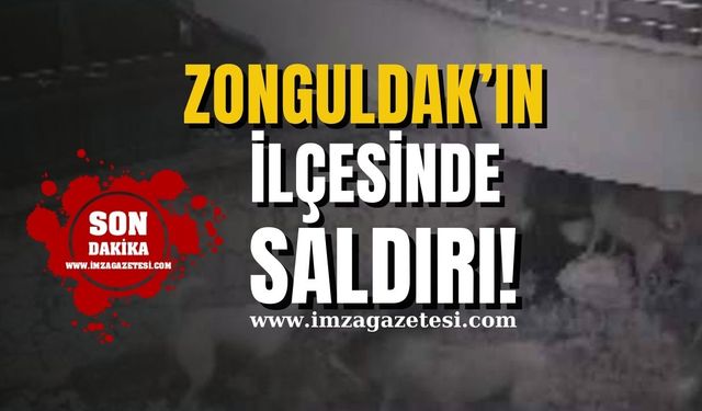 Zonguldak'ın ilçesinde saldırı!