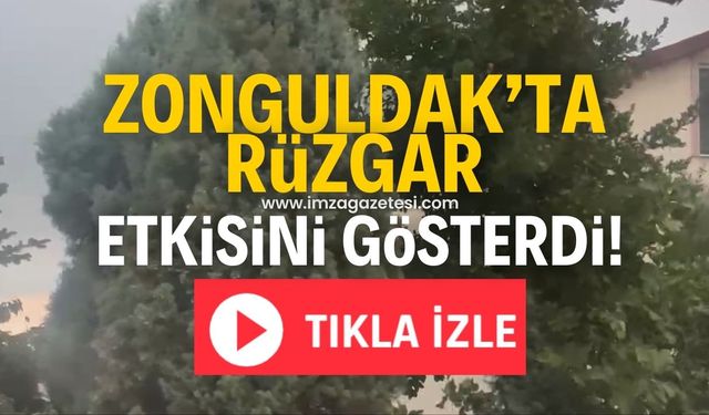 Zonguldak'ın yüksek kesimlerinde sert rüzgar etkisini gösterdi!