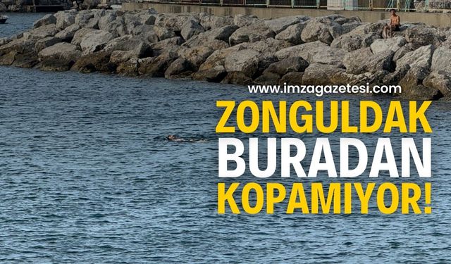 Zonguldak'ta Hava Düzeldi, Kozlu Limanına Akın Ettiler!