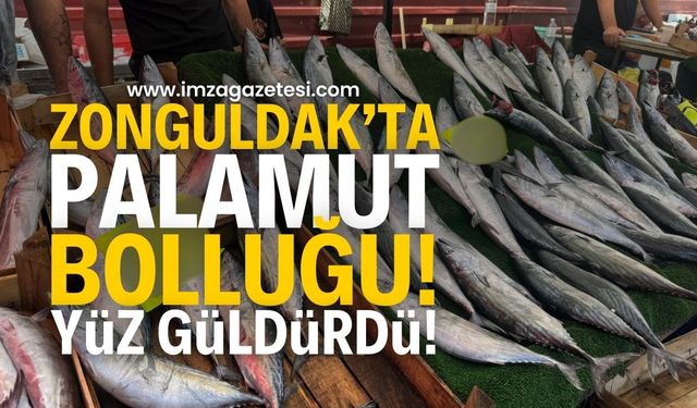 Zonguldak’ta Palamut Fiyatları Yüzleri Güldürdü | Zonguldak haberleri