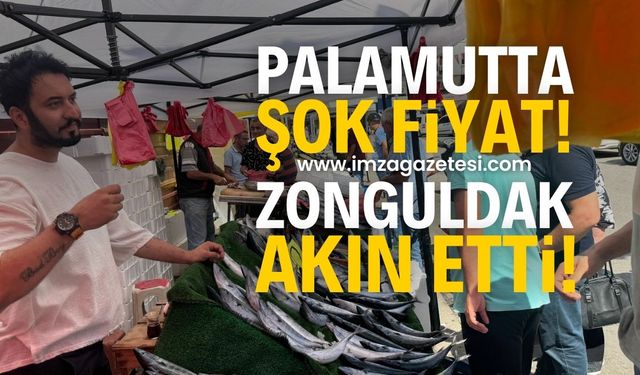 Zonguldak’ta palamut fiyatlarında şok! Alan memnun satan memnun