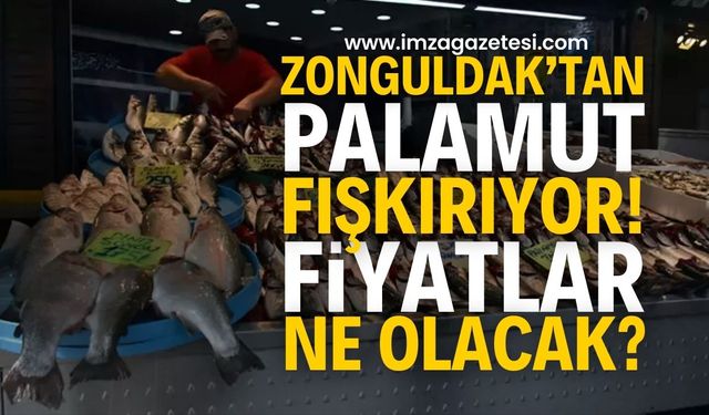 Zonguldak'ta Palamut geri geldi! Palamut fiyatları ne kadar?