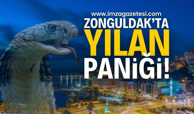 Zonguldak’ta Vatandaşların Yılan Paniği!