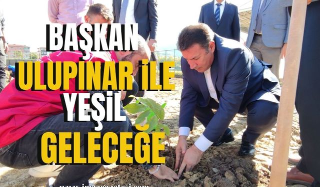 Devrek'te Başkan Ulupınar ile Yeşil Geleceğe Adım Atıldı!