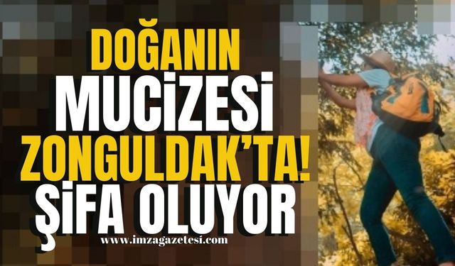 Doğanın Mucizesi Zonguldak'ta! Şifa Oluyor...