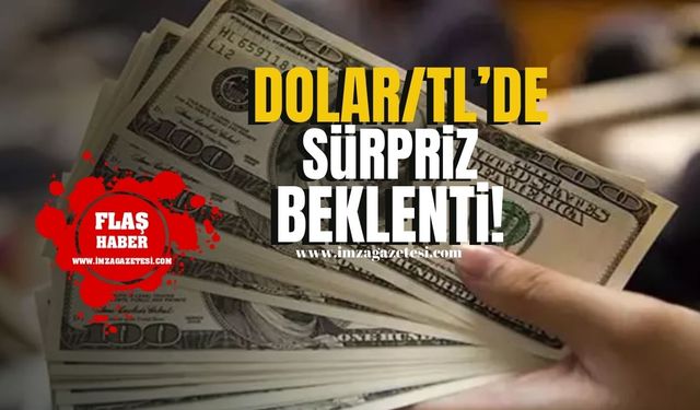 Dolar/TL'de Sürpriz Beklenti... Yıl Sonu Tahminleri Şaşırtacak!