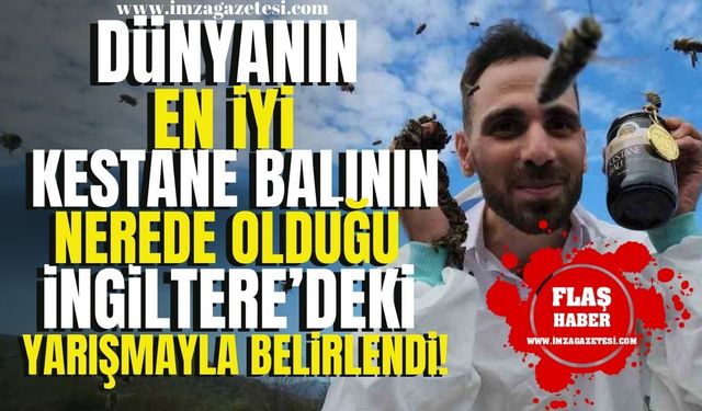 Dünyanın en iyi kestane balının nerede olduğu İngiltere'deki yarışmayla belirlendi!