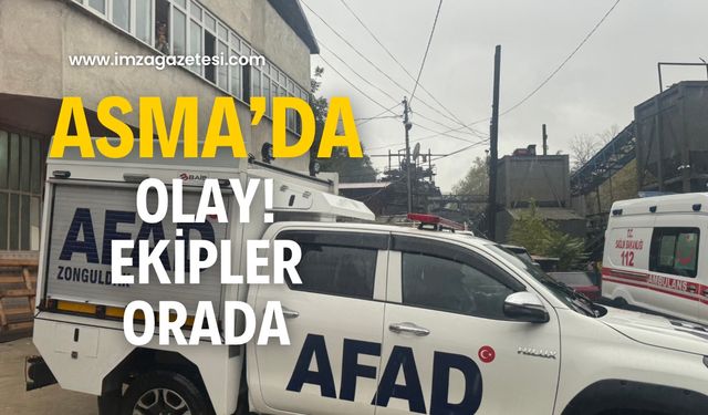 Asma’da heyelan! Ekipler orada