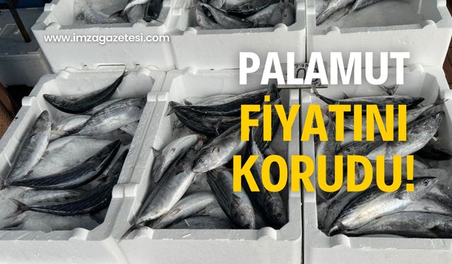 Palamut fiyatını korudu! Vatandaş memnun olmadı