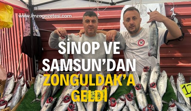 Sinop ve Samsun’dan Zonguldak’a getirdiler! Bakın fiyatı ne kadar