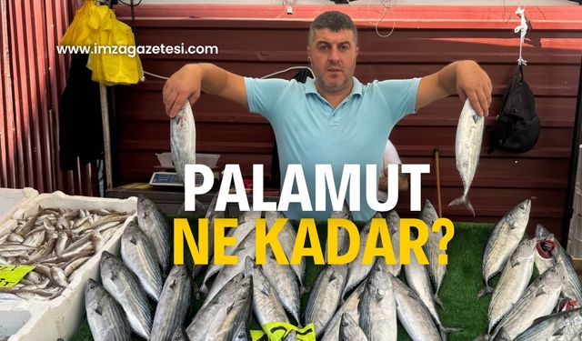 Palamut sevenlerini üzüyor! Ne kadar ?