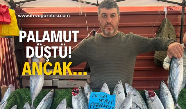 Palamut düştü!