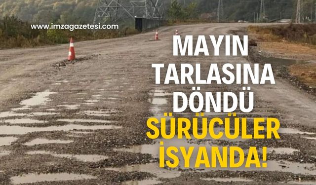 Zonguldak’ta şok eden yol!